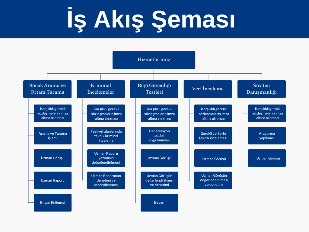 mavi-desenli-sevimli-tasarim-odakli-dusunme-fikir-zihin-haritasi-grafik.png